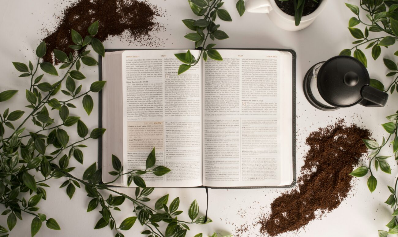 Discovering faith and wisdom 'in the bible' for our community