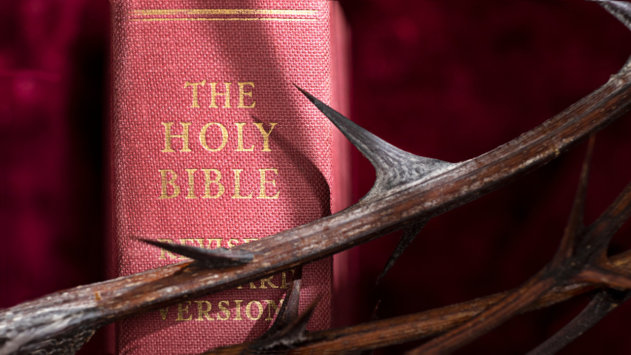 The pink bible, a symbol of love, compassion, and personal expression in faith.